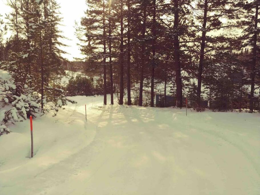 Le Chalet Bleu, Aux Pieds Des Monts-Valin Saint-David-de-Falardeau Esterno foto