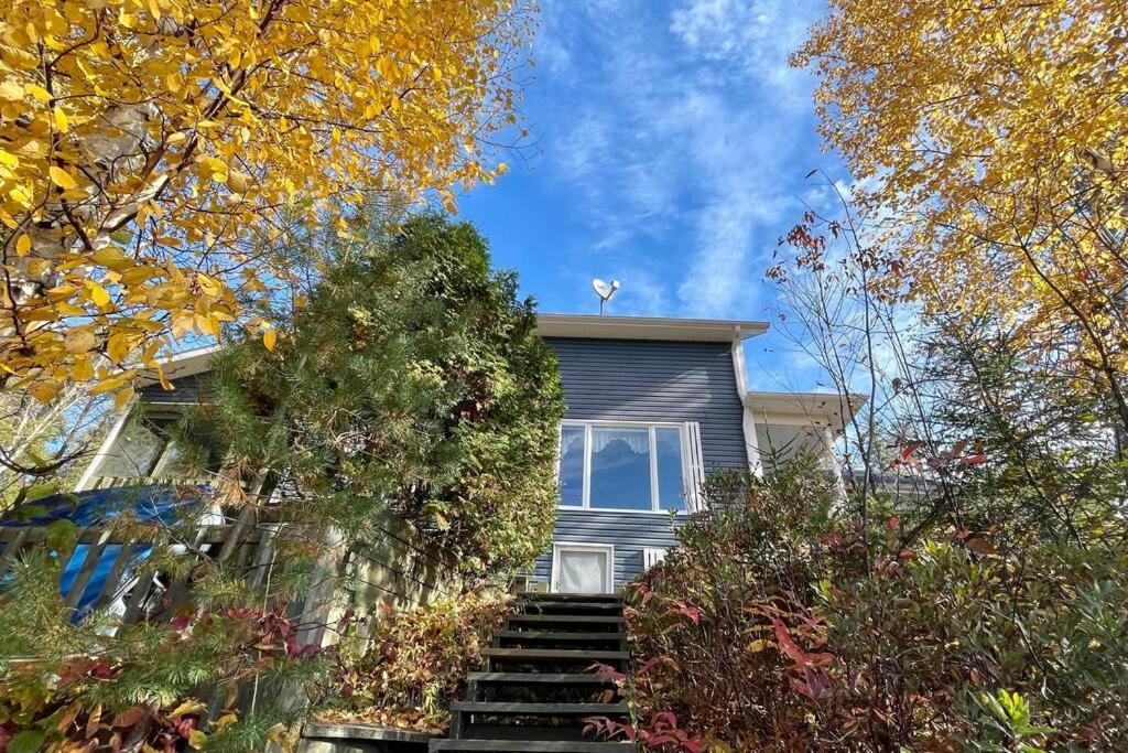 Le Chalet Bleu, Aux Pieds Des Monts-Valin Saint-David-de-Falardeau Esterno foto