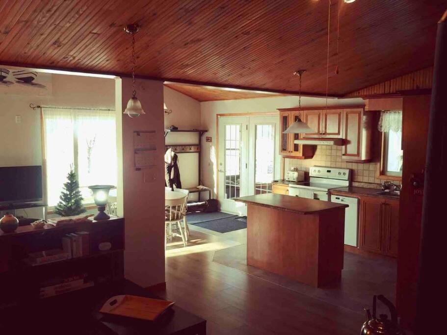 Le Chalet Bleu, Aux Pieds Des Monts-Valin Saint-David-de-Falardeau Esterno foto
